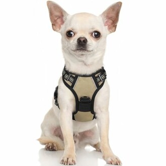 rabbitgoo Dog Harness Review: No-Pull XS Pet Harness for Small Dogs